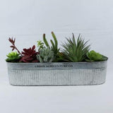 Galvanized Succulent