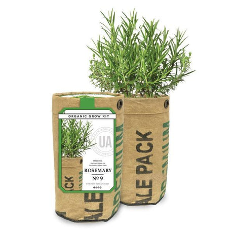 Rosemary Grow Bag