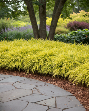 Narrow stone pathway winding through a garden with all gold Japanese forest grass and trees.
