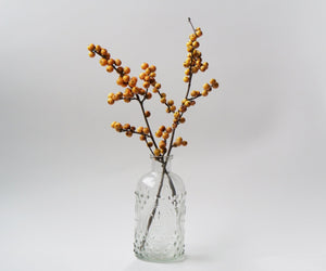 Berry Heavy® Gold Winterberry