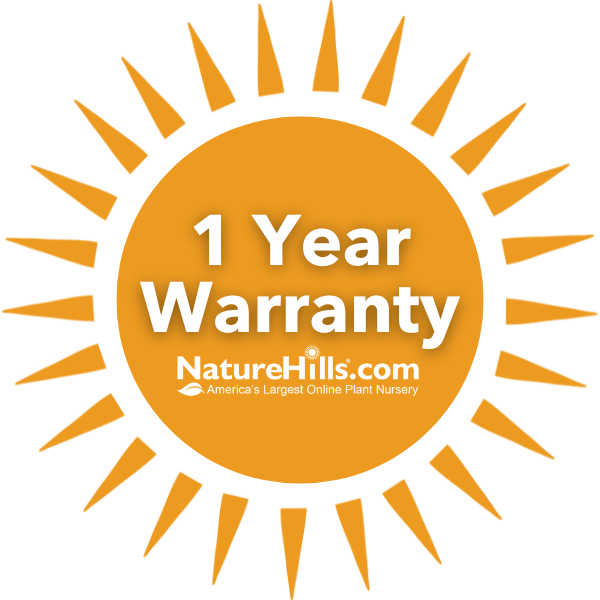 1 Year Warranty