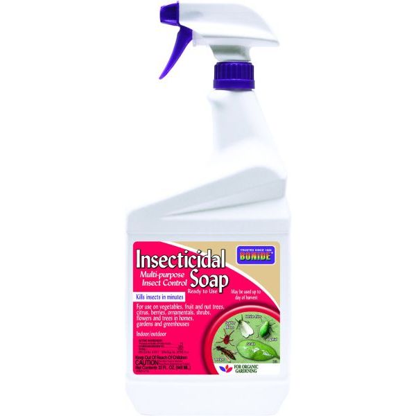 Bonide Insecticidal Soap RTU Spray