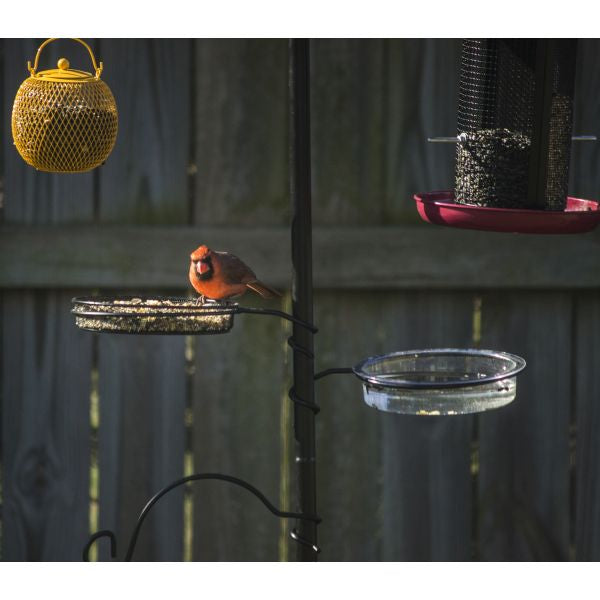 Deluxe Wild Bird Feeding Station