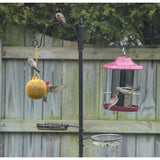 Deluxe Wild Bird Feeding Station