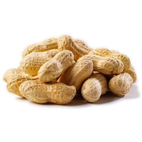 America's Favorite Raw Peanuts In Shell Wild Bird Feed - Nature Hills Nursery - 4 lb - 