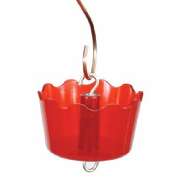 Audubon Ant Guard Defendant - Nature Hills Nursery - Garden Center Item - 