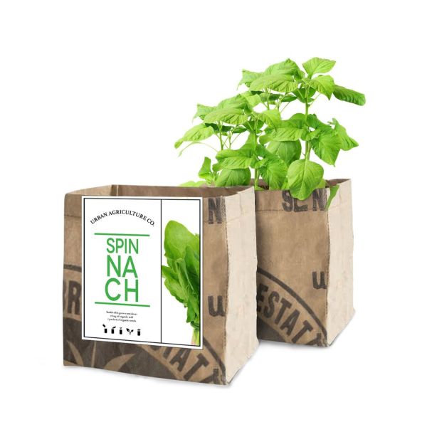 Spinach Grow Kit