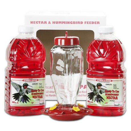 Homestead 24 Ounce Etched Glass Hummingbird Feeder With Nectar Value Pack