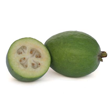 Coolidge Pineapple Guava Tree