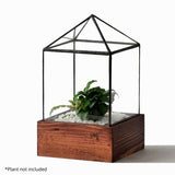 Clear House Terrarium