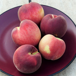 Babcock Peach Tree - Nature Hills Nursery - Paper Pot 4 - 5 Feet - 