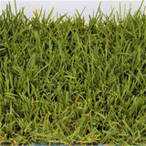 Bella&trade; Bluegrass Grass Plugs - Nature Hills Nursery - 70 Plug Tray - 