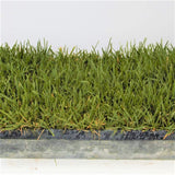 Bella&trade; Bluegrass Grass Plugs - Nature Hills Nursery - 70 Plug Tray - 