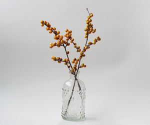 Berry Heavy® Gold Winterberry (Ilex verticillata 'Berry Heavy Gold') shrub detail, image 13 of 13.