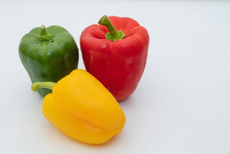 Three fresh bell peppers in red, yellow, and green colors representing the Better Belle Pepper Plant harvest.