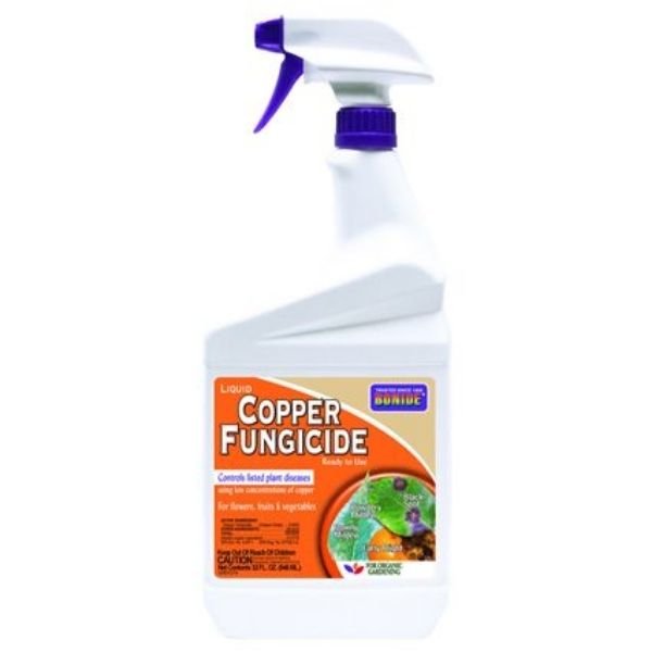 Bonide Copper Fungicide RTU Spray - Nature Hills Nursery - 32 oz - 