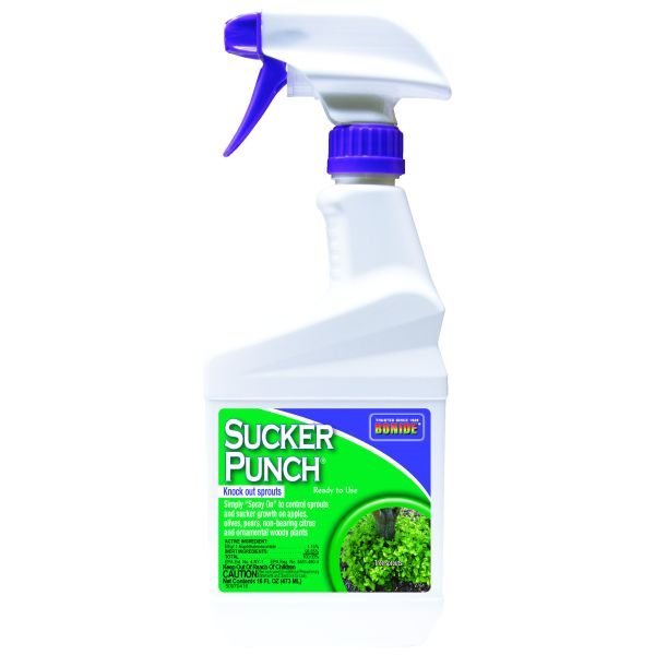 Bonide Sucker Punch RTU - Nature Hills Nursery - 16 oz - 
