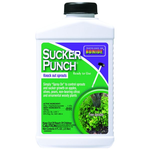 Bonide Sucker Punch RTU Brush Top - Nature Hills Nursery - 8 oz - 