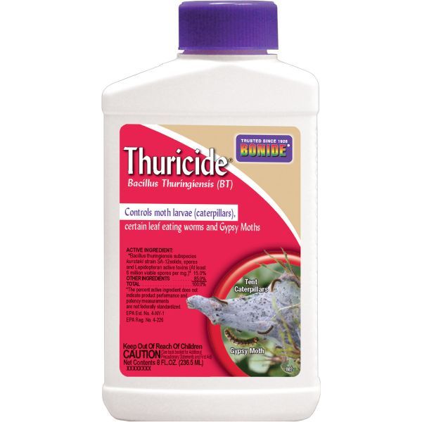 Bonide Thuricide Insecticide Liquid Concentrate - Nature Hills Nursery - 8 oz - 