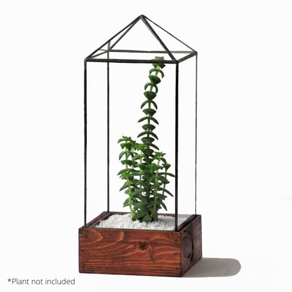 Clear Tower Terrarium