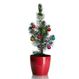 Colorado Blue Spruce Tabletop Christmas Tree