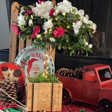 Candy Cane Azalea Topiary - Nature Hills Nursery - 6 Inch Container - 