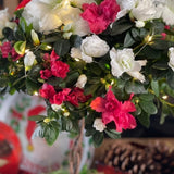Candy Cane Azalea Topiary - Nature Hills Nursery - 6 Inch Container - 