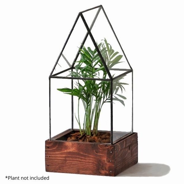 Cape Cod Terrarium - Nature Hills Nursery - Natural Finish - 