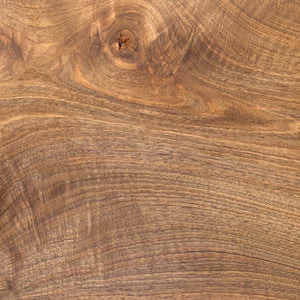 Carpathian English Walnut Tree - Nature Hills Nursery - #3 Container - 