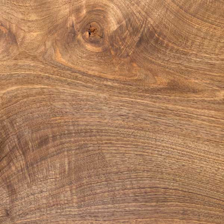 Carpathian English Walnut Tree - Nature Hills Nursery - #3 Container - 