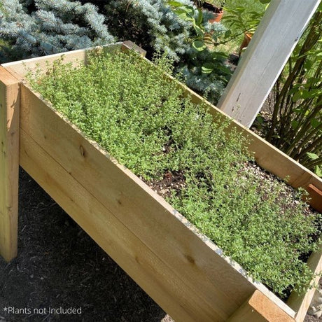 Raised Garden Planter Box