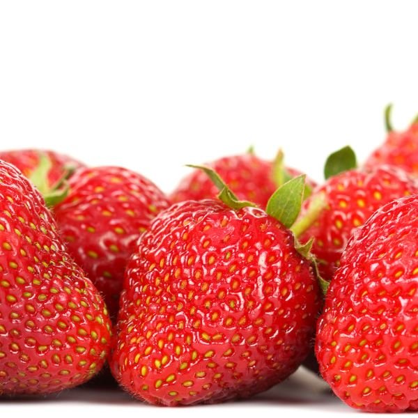 Chandler June - Bearing Strawberry Plant - Nature Hills Nursery - 20 Pack Bareroot - 
