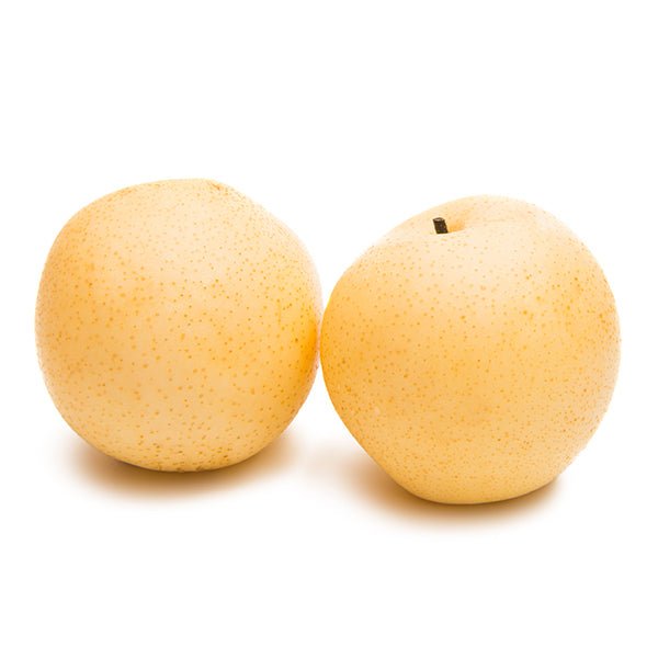 Chojuro Pear Tree - Nature Hills Nursery - #3 Container 4 - 5 Feet Semi - Dwarf Height - 