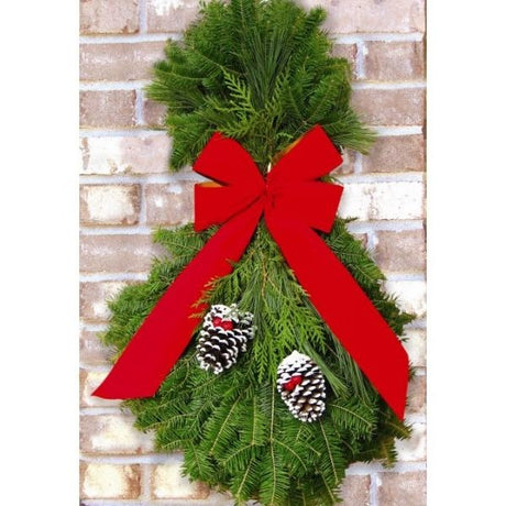 Classic Spray - Nature Hills Nursery - Garden Center Item - 