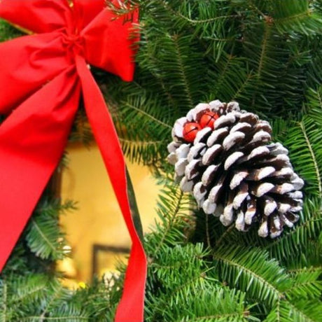 Classic Wreath - Nature Hills Nursery - Garden Center Item - 