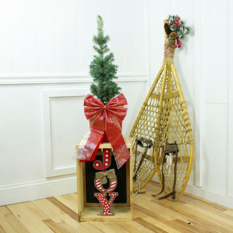 Colorado Spruce Holiday Tree - Nature Hills Nursery - #2 Container - 