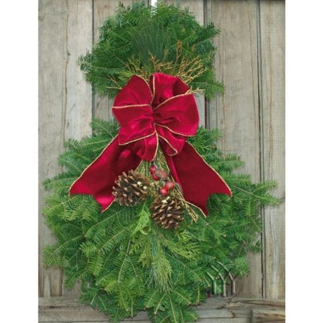 Cranberry Splash Spray - Nature Hills Nursery - Garden Center Item - 