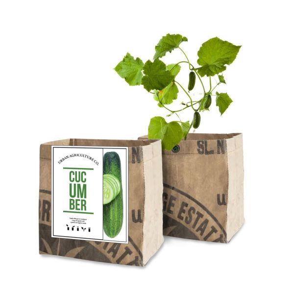 Cucumber Grow Kit - Nature Hills Nursery - Gift Set - 