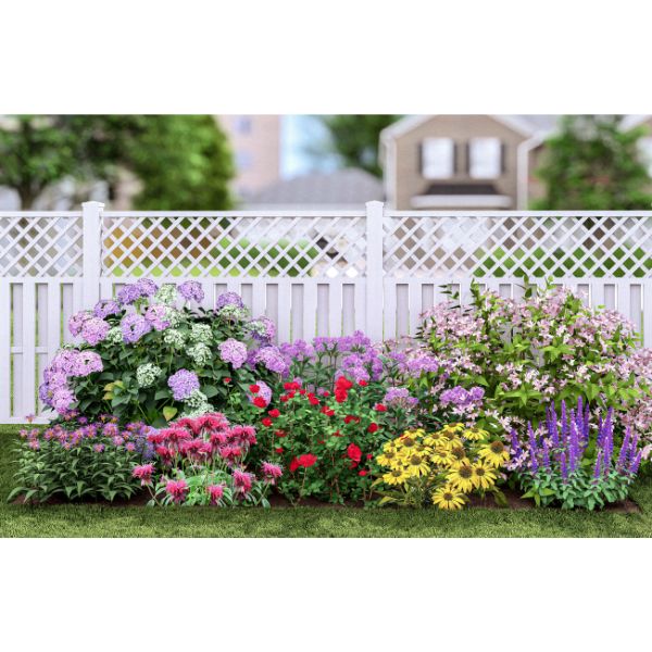 Plants That Work For A Summer Cut Flower Garden