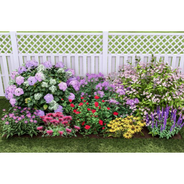 Plants That Work For A Summer Cut Flower Garden