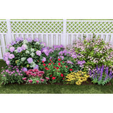 Plants That Work For A Summer Cut Flower Garden