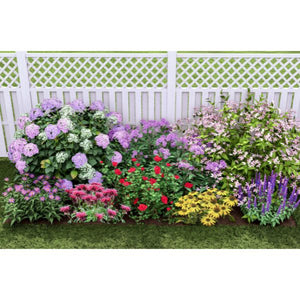 Plants That Work For A Summer Cut Flower Garden