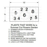 Plants That Work For A Summer Cut Flower Garden
