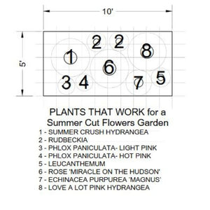 Plants That Work For A Summer Cut Flower Garden
