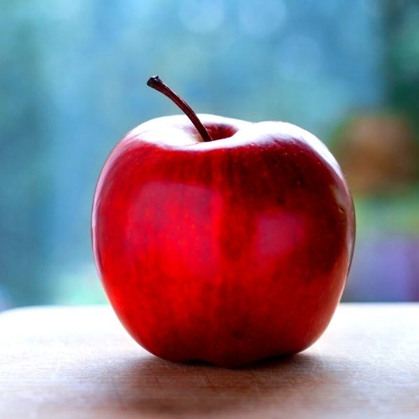 Urban Apples® Tasty Red™ Columnar Apple Tree | Buy at NatureHills.com