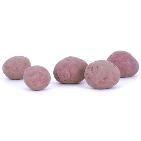 Dark Red Norland Potato Picture