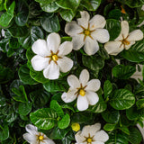 Diamond Spire&trade; Gardenia