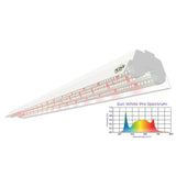 38W 4FT LED Propagation Luminaire 2 Pack