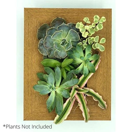 Instant Wall Planter 4" x 6"