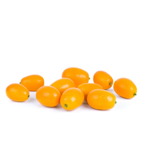 Nagami Kumquat Tree